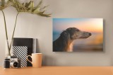 Tablou Canvas, "C&acirc;ine contempl&acirc;nd apusul pe plajă", Nu pot să spun cine sau ce este &icirc;n imagine, dar pot să descriu imaginea: C&acirc;ine, Apus, Plajă, Line,