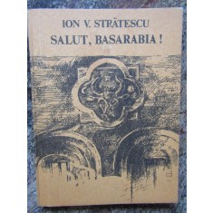 Salut, Basarabia! Ion V. Stratescu