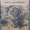 Salut, Basarabia! Ion V. Stratescu