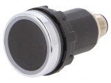 Comutator Capacitiv Negru Argintiu 10-30VDC NPN NO