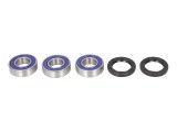 Kit rulment roata Spate (cu etansanti) pentru SUZUKI RM 125/250 1995-1999