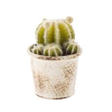 Cumpara ieftin Cactus artificial in ghiveci alb patinat 10 x 10 x 11h