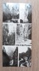 QW24 C - Carte postala - tematica turism - vedere - Cheile Bicazului 6, Necirculata, Fotografie, Neamt