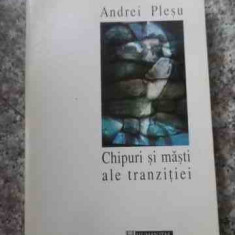 Chipuri Si Masti Ale Tranzitiei - Andrei Plesu ,536800