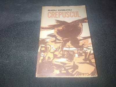 RADU CIOBANU - CREPUSCUL foto
