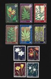 belize mnh