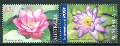 AUSTRALIA 2002 FLORI EMISIUNE COMUNA CU THAILANDA foto