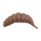 Năluca soft FishUp Ozi 1.2&quot; culoare 104 Coffee Milk