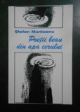 Stefan Munteanu - Poetii beau din apa cerului