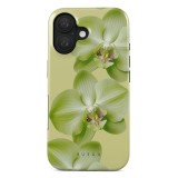 Burga Husa Dual Layer Purity iPhone 16