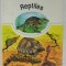 DECOUVRONS LES REPTILES , par JEAN et DAVID GLOVER , illustre par BRIAN WATSON , 1991