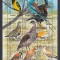 Eritrea - PASARI - BL - MNH