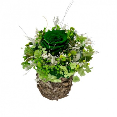 Aranjament floral mic cu licheni, trandafir si plante naturale criogenate si stabilizate in scoarta mesteacan foto