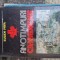 Anotimpuri Canadiene vintage