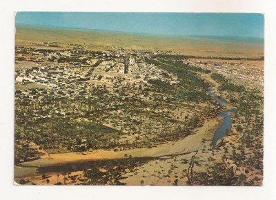 FA64-Carte Postala- ALGERIA - Bacher, necirculata foto
