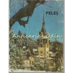 Muzeul Peles