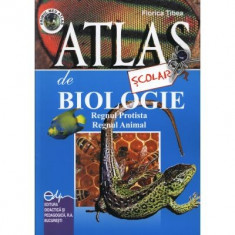 Atlas scolar de biologie, zoologic. Regnul protista si regnul animal - Florica Tibea