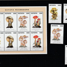 Guyana 1996-Flora,Ciuperci,serie 4 val.,bloc 2 serii,MNH.Mi.5534-7,5534-7