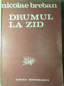 DRUMUL LA ZID-NICOLAE BREBAN foto