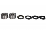 Kit rulment roata spate (with sealants) compatibil: YAMAHA YXZ 1000 2016-2018, PIVOT WORKS