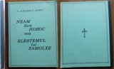 Ronnett, Neam fara noroc sau blestemul lui Zamolx , Chicago, 1994, legionara
