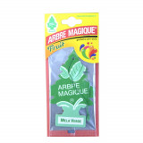 Odorizant auto bradut Arbre Magique Italia, aroma Mela Verde AutoDrive ProParts