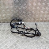 Cablaj ușă dreapta spate TESLA MODEL 3 2020 OEM: 3067966-00-A 15342907