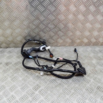 Cablaj ușă dreapta spate TESLA MODEL 3 2020 OEM: 3067966-00-A 15342907 foto