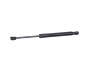 Amortizor haion dreapta TESLA MODEL 3 2019 OEM: 1091560-00-B 15305728