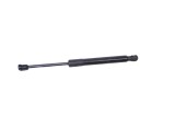 Amortizor haion dreapta TESLA MODEL 3 2019 OEM: 1091560-00-B 15305728