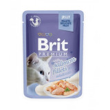 Cumpara ieftin Brit Cat Delicate Salmon in Jelly, 85 g