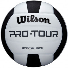 Mingi de volei Wilson Pro Tour Volleyball WTH20119XB alb