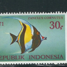 INDONEZIA 1971-FAUNA marina PESTI-Serie completa de 3 timbre nestampilate