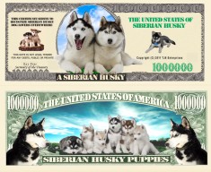 !!! SUA = FANTASY NOTE (TJ6) = HUSKY SIBERIAN - 2011 - UNC / SERIA KAY NINE foto