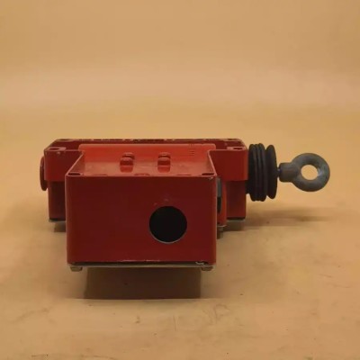 TELEMECANIQUE XY2-CE2A250 foto