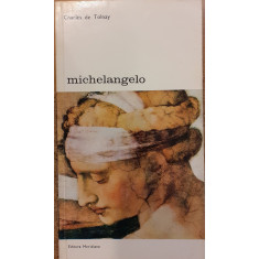 Michelangelo Biblioteca de arta 84
