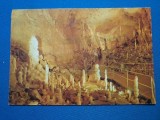 PESTERA URSILOR -CHISCAU/STALACMITE SI STALAQCTITE