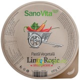 Pasta Vegetala Tartinabila din Linte Rosie cu Ardei Picant 100g