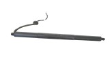 Amortizor haion st&acirc;nga TESLA MODEL Y 2021 OEM: 1500601-00-A 24126011