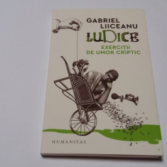GABRIEL LIICEANU LUDICE EXERCITII DE UMOR CRIPTIC RF14/0