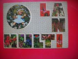 HOPCT 25088 FELICITARE ANIVERSARA -LA MULTI ANI -PAPUSA -CP VECHE -IP--INTREG POSTAL - ROMANIA - CIRCULATA