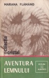 Mariana Flamand - Aventura lemnului