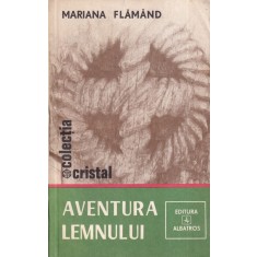 Mariana Flamand - Aventura lemnului