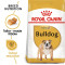 ROYAL CANIN ENGLISH BULLDOG 3 kg