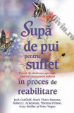 Sup de pui pentru suflet n proces de reabilitare - jack canfield mark victor hansen robert j ackerman theresa peluso gary seidler i peter vegso carte