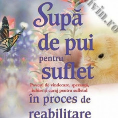 Sup de pui pentru suflet n proces de reabilitare - jack canfield mark victor hansen robert j ackerman theresa peluso gary seidler i peter vegso carte