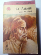 Stramosii vol 1, Hronic de vitejie, Radu Theodoru foto