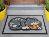 Cumpara ieftin Covoras Intrare Gatto, 40x60 cm, Cauciucat