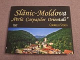 Cumpara ieftin 10+ SLĂNIC-MOLDOVA ,, PERLA&rdquo; CARPAȚILOR ORIENTALI, 2021, Alta editura