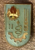 QW9 N 74 - Insigna - tematica pionieri - Pionier tehnician - locul II